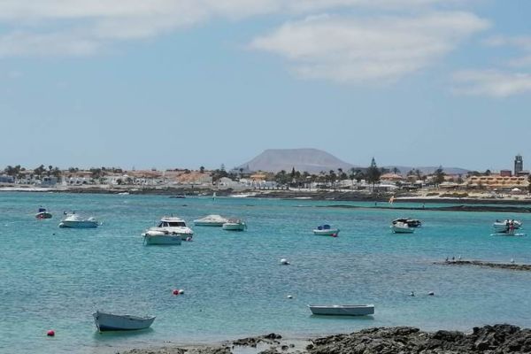 The Spanish market returns to growth in 2026