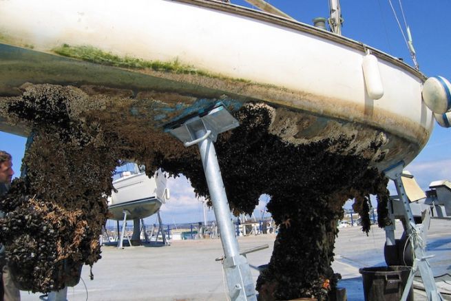 Antifouling is a major challenge for sustainable and ecological yachting
