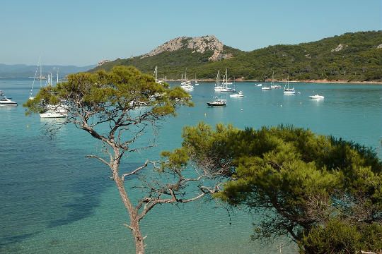 Port-Cros Nature Reserve in the Var department